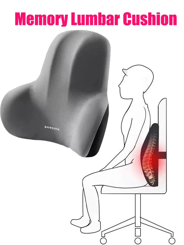 Vistara Memory Foam Lumbar Support Cushion